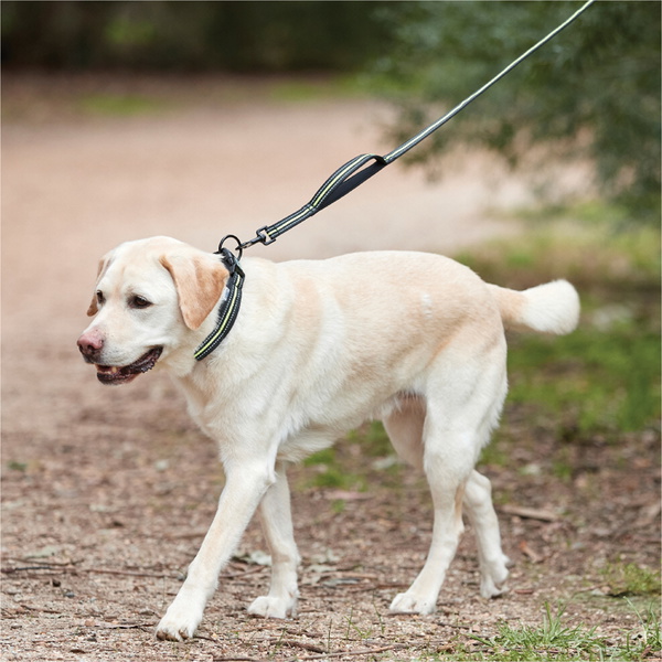 Weatherbeeta Reflektierendes Hundehalsband 1003618 - Yellow